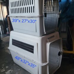 Dog Kennels 