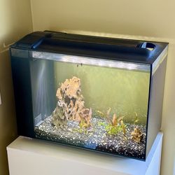 Aquarium 16gal, Planted, Clean With Accessories 