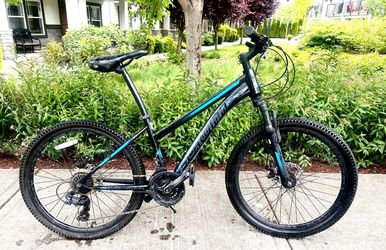 Schwinn Sidewinder 21 Speed