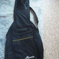 Guitar 🎸 Bag 