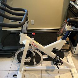 Sunny Exercise Bike