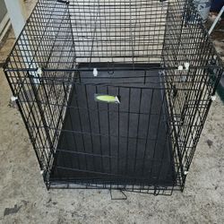 Large dog crate