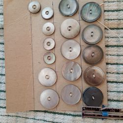 Beautiful Shell Buttons  1" & 5/8 " Size