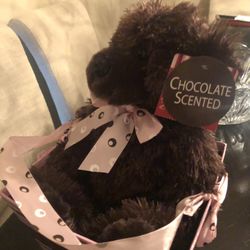Chocolate Scent Teddy Bear 