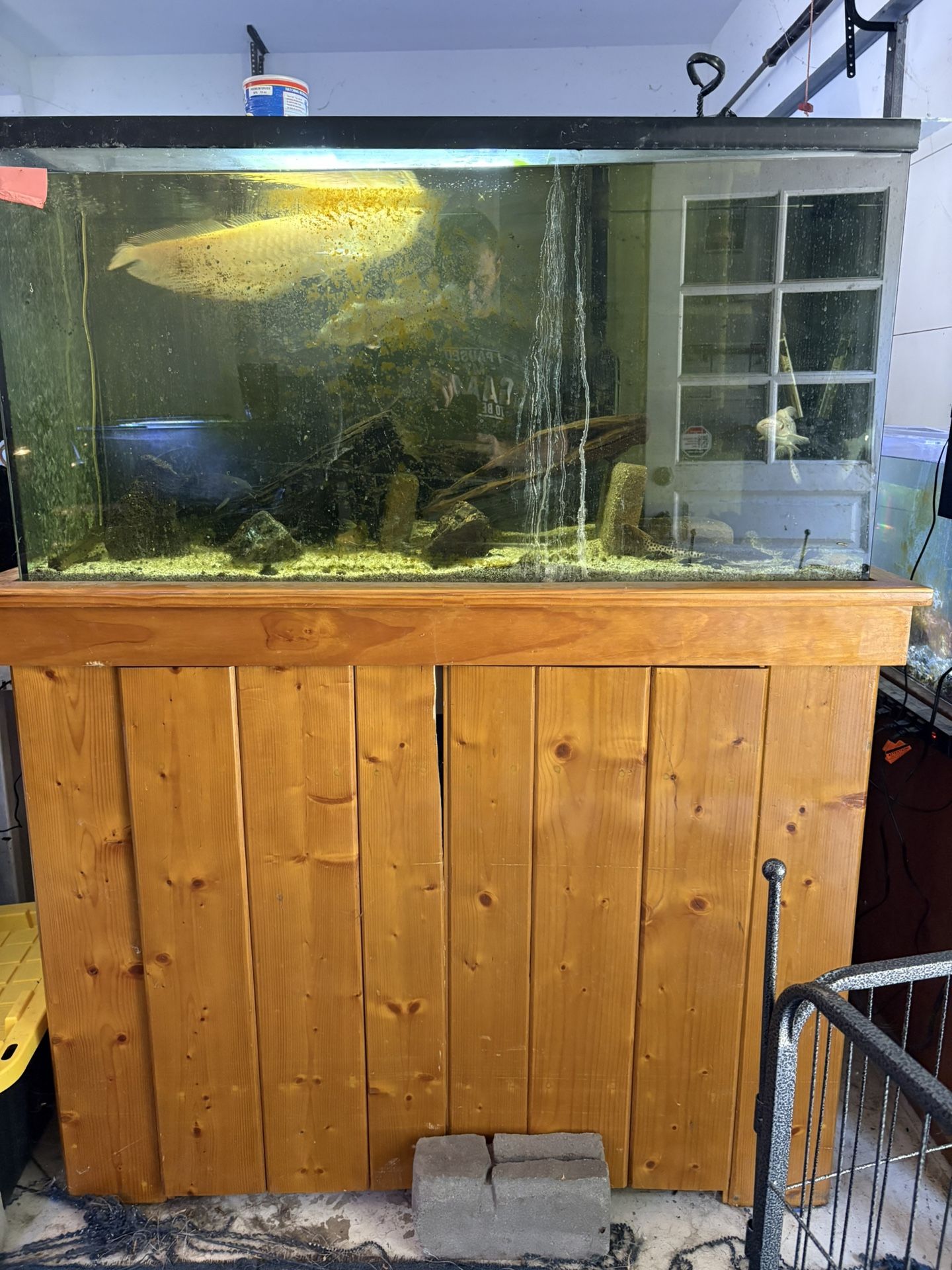 90 Gallon Fish Tank With Stand