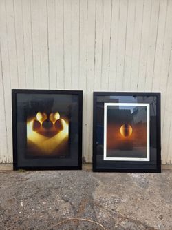Pair of Framed Egg Photographs - Mid Century 1969