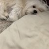 Max-_-