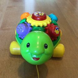 Baby Turtle Toy