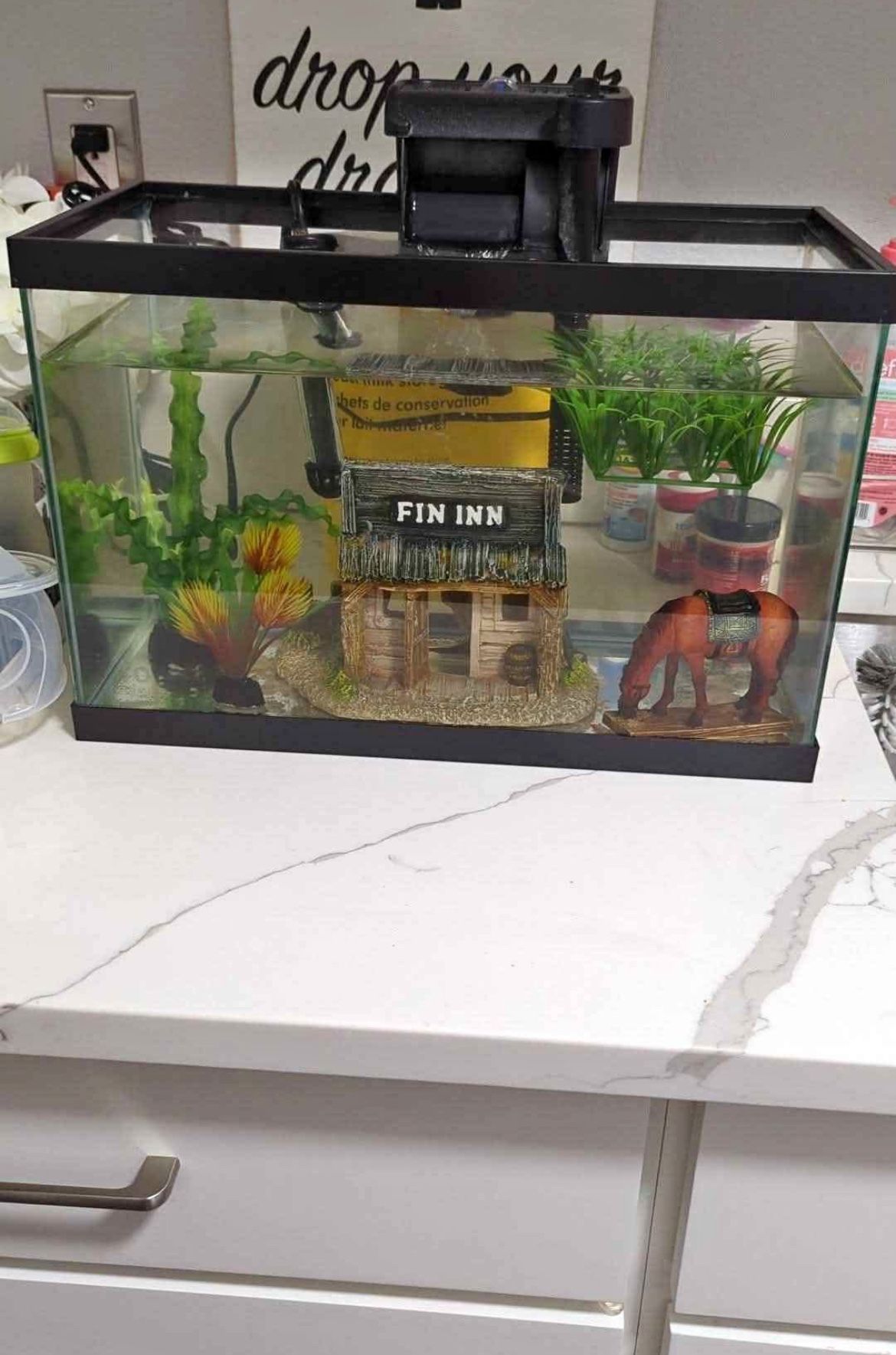 Fish Tank
