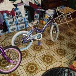 Schwinn's Girls Bike