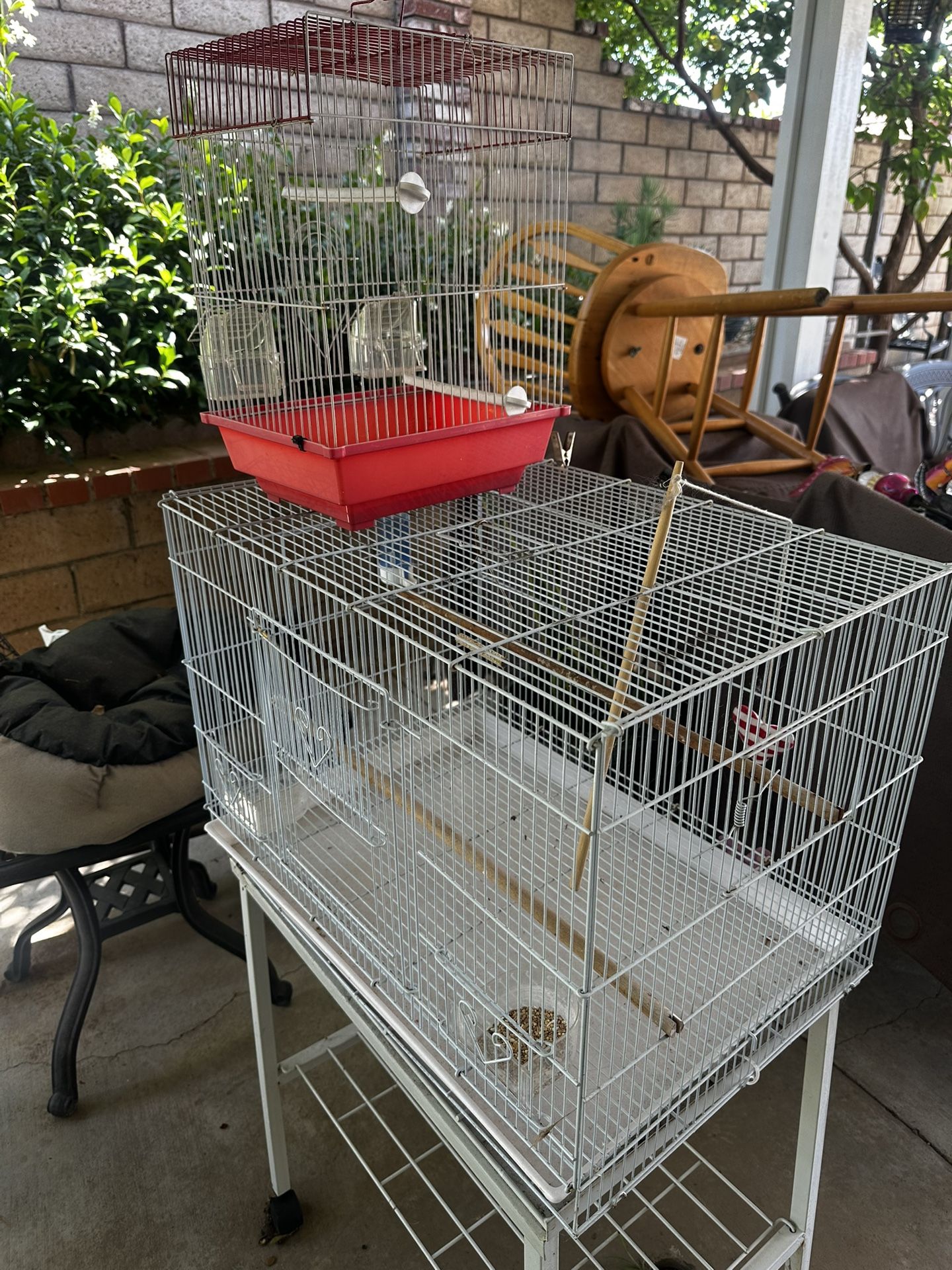 Bird Cages