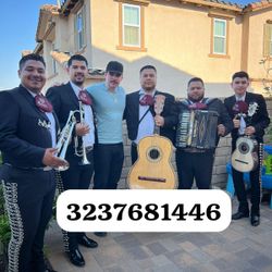Vihuela Violín Mariachi