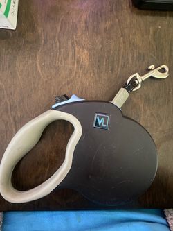 Leash for Dogs