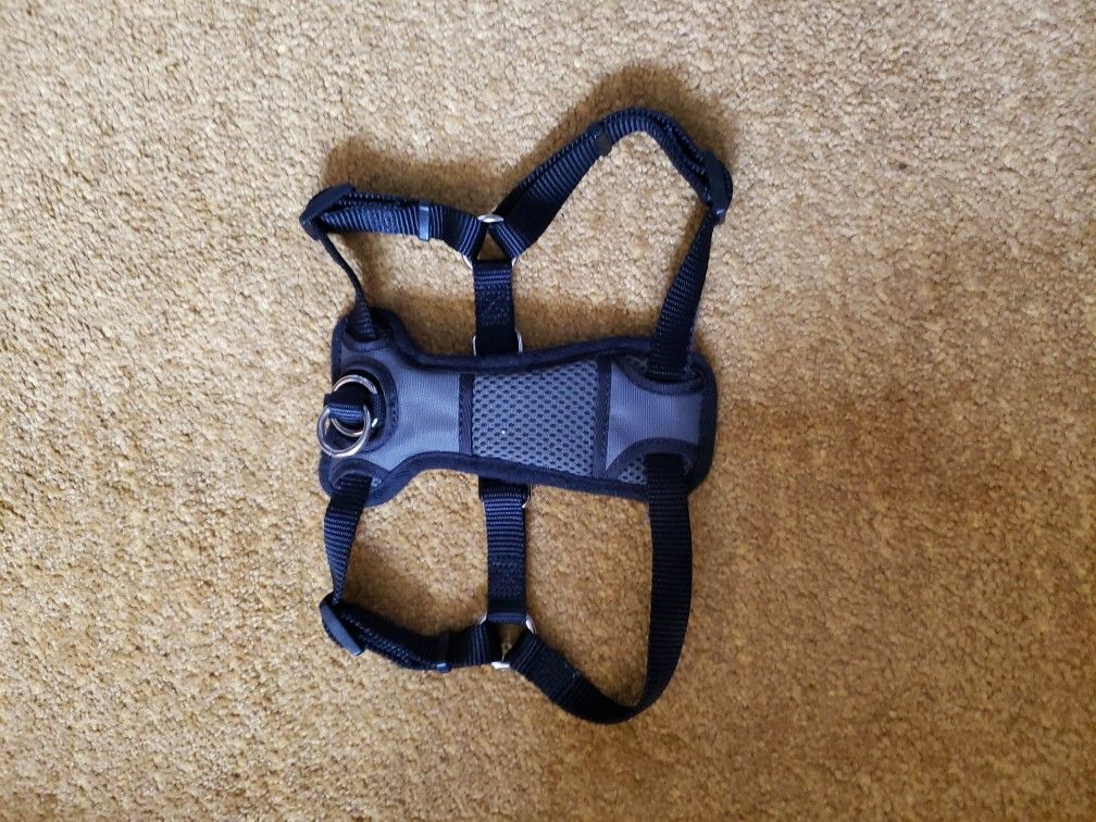 Small Walk Right Dog Harness