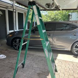 Werner Ladder 6 Ft
