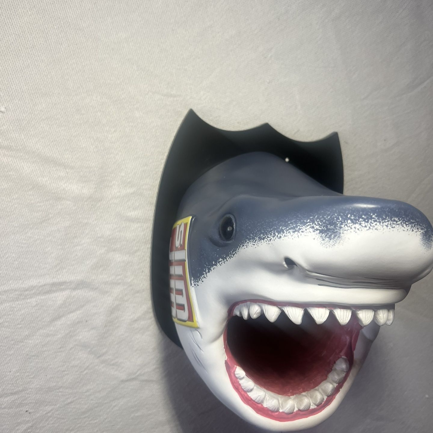 Brand New Slim Jim Shark Taxidermy Style Wall Display
