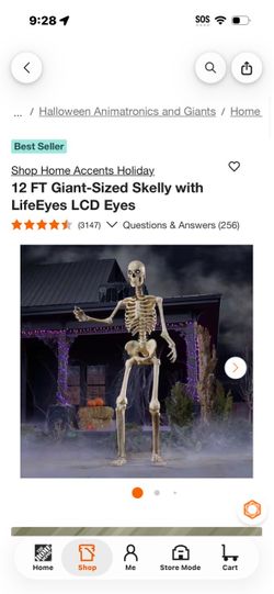 12-FT Tall Skeleton with LCD Eyes