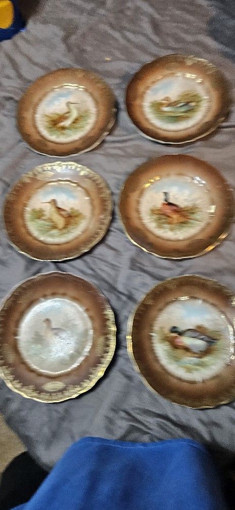6 Piece Vintage Duck Porcelain Plates