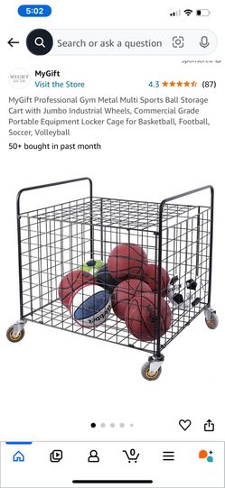 Mygift Professional Gym Metal Multi Sports Ball Storage Cart