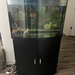 Fish Tank (20 Gallon) 