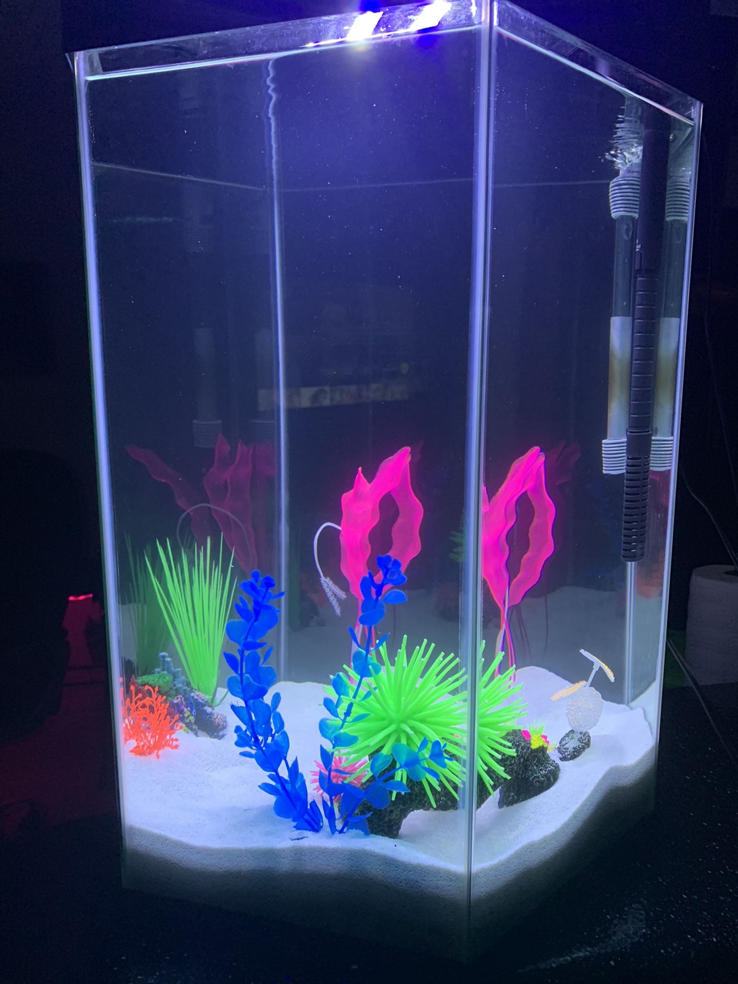 20 Gallon Fresh Water Fish Tank - Includes Everything In It.