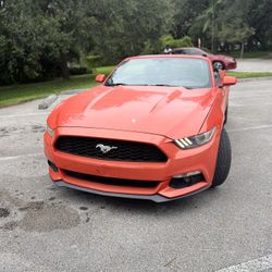 Ford Mustang  2015 Convertible V6