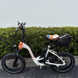Electric Bike Rad