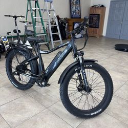 Runner X Xplorer 750 Watt E-bike
