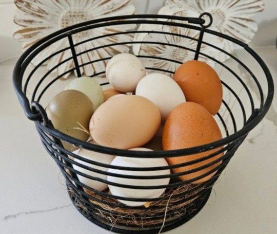 Fresh Eggs