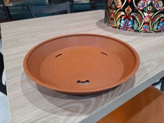 Tortilla Plate / Plant Under Cover Plate