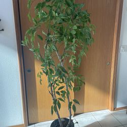 Artificial Tree Plant 6’ Tall