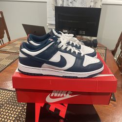 Nike Valerian Blue Dunk