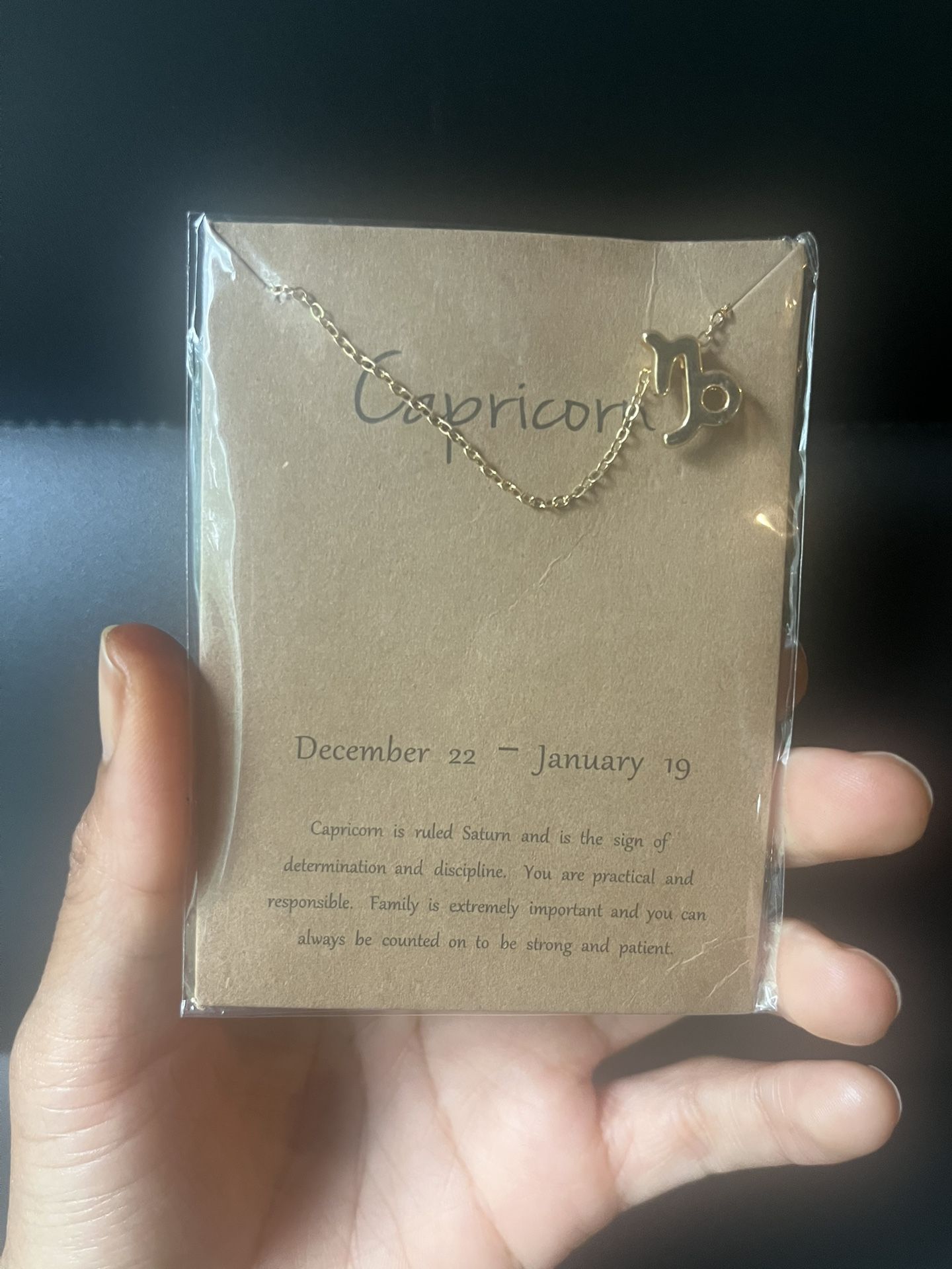 Capricorn Horoscope Necklace