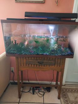 Large Fish tank used