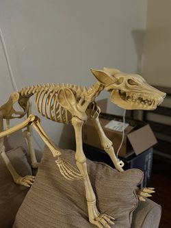 Halloween decorations