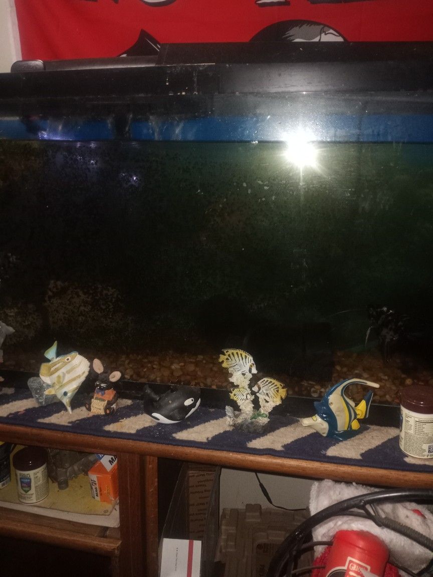 Fish Tank Fish And Stand