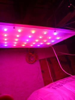 Indoor Garden Grow Lights