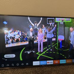 48in LG TV with Roku