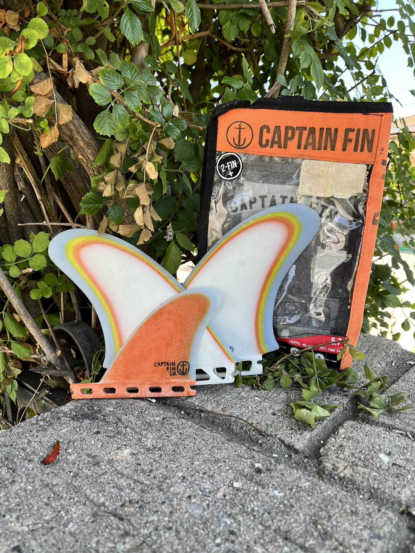 Captain Fin