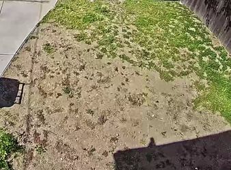 Free Dirt
