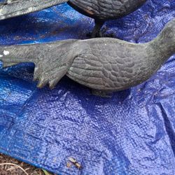 Vintage Brass Pheasant 