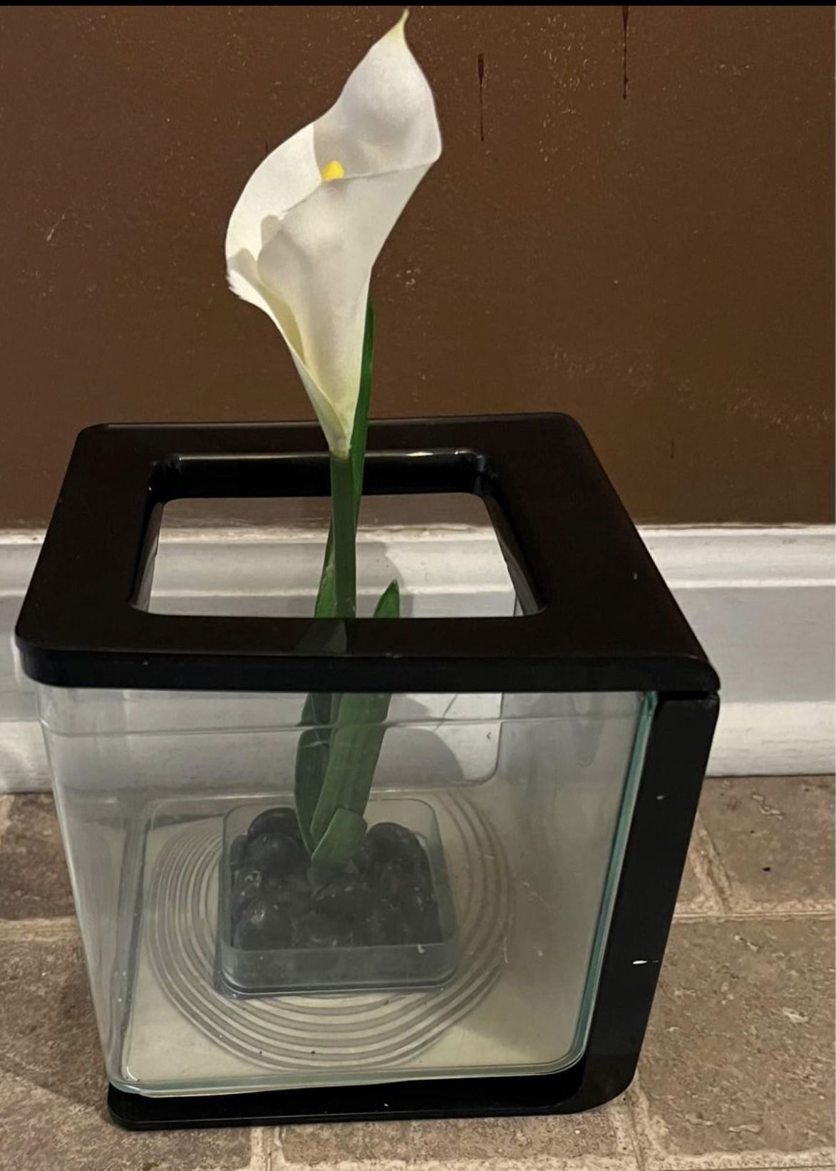 Small Beta Fish Bowl Aquarium (pls Read Description Below)