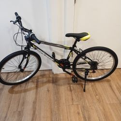 Brand New Sprague Bamcase Bike 