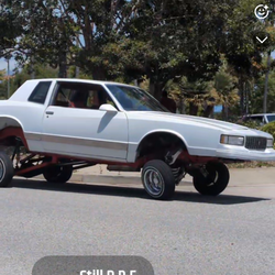 88 monte Carlo ls