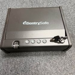 SentrySafe QAP1BEK Biometric Pistol Safe