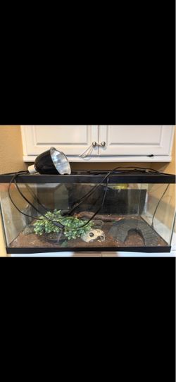 Tank with decorations
