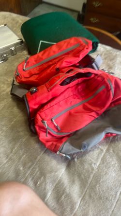 Dog Harness