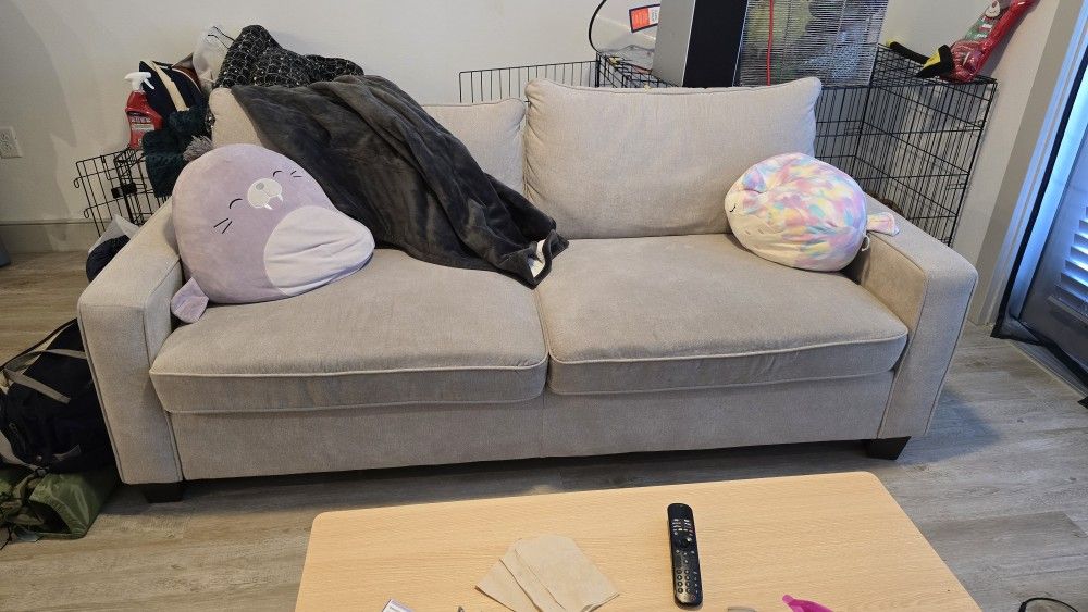 Reid Buff Couch / Sofa (Living Spaces)