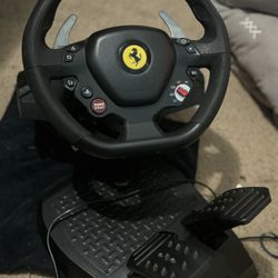 Thrustmaster wheel 