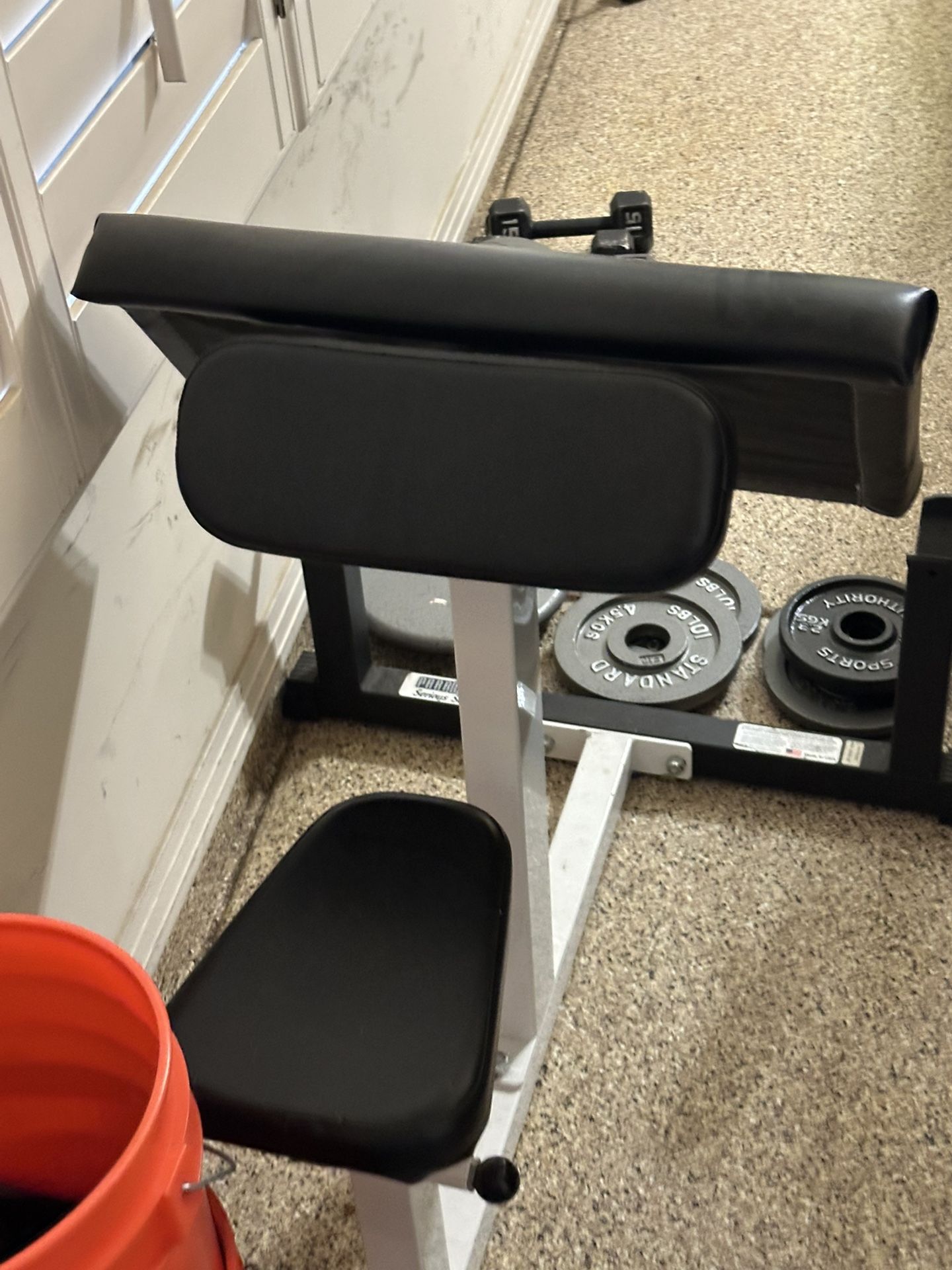 PARABODY CURL BENCH, CURL BAR, WEIGHTS